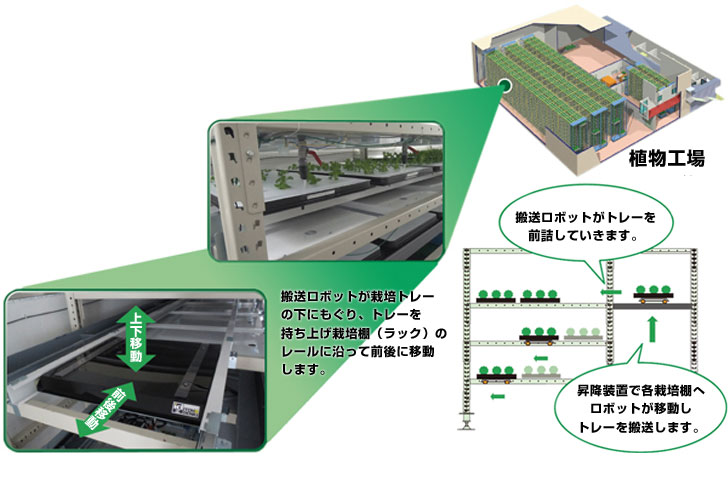 新世代植物工場