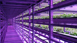 植物工場①