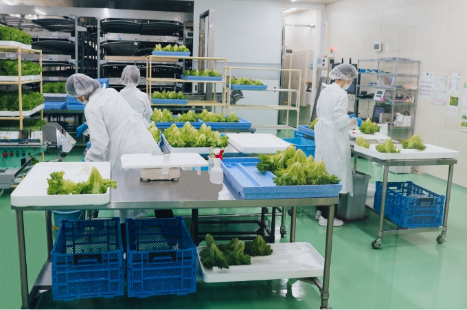 「丸山栽培棟」「丸山ファーム直売所」オープン