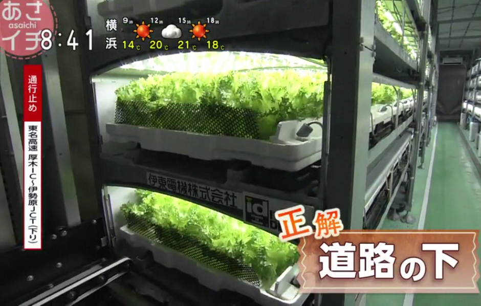 NHK「あさイチ」で地下植物工場 習志野ファーム「ベチカ」が紹介されました