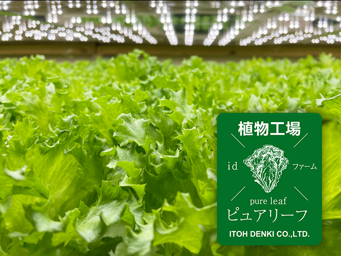 新世代植物工場のSNSアカウントを公開しました