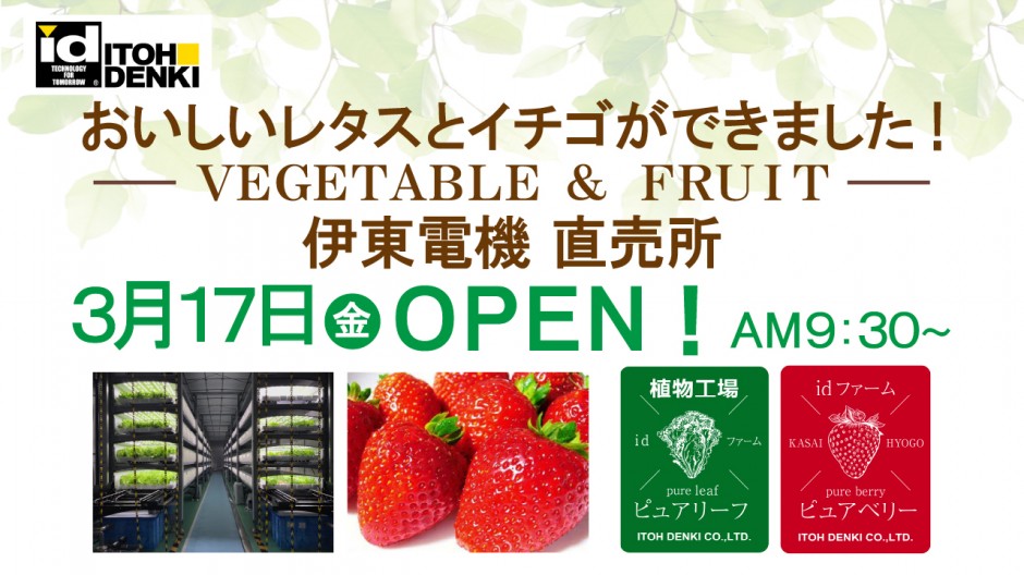 おいしいレタスとイチゴを販売する伊東電機 直売所が3月17日（金）にオープンします