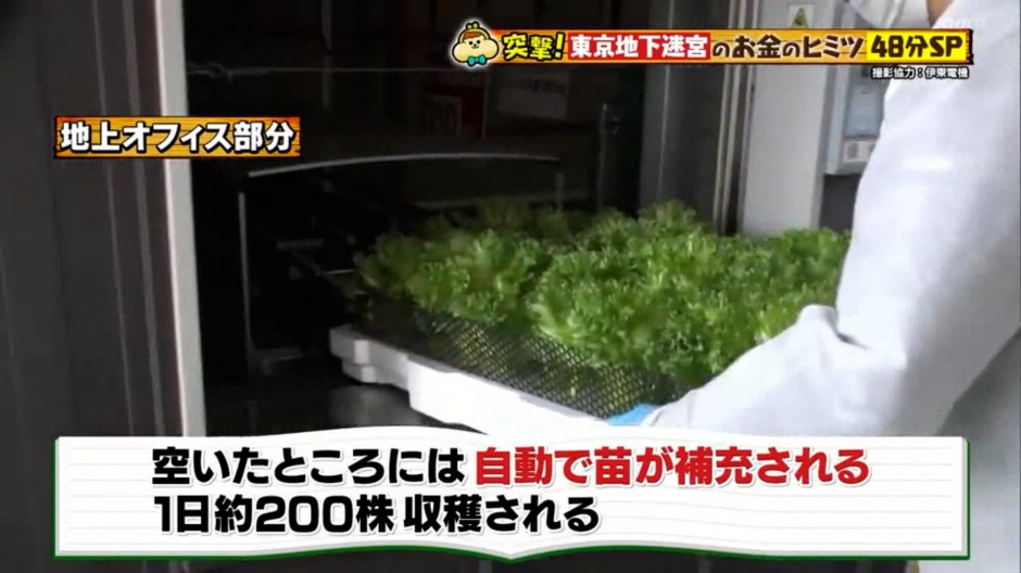 230311NHK「有吉のお金発見突撃！カネオくん」ベチカVTR.00_01_43_27.静止画003