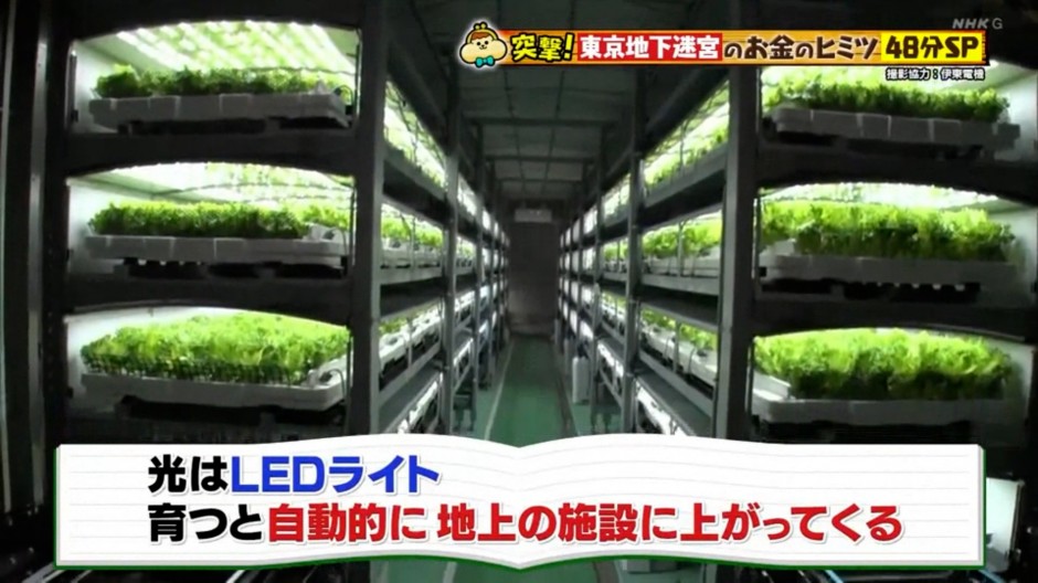 230311NHK「有吉のお金発見突撃！カネオくん」ベチカVTR.00_01_32_06.静止画001