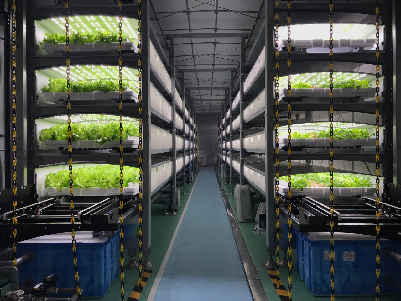 習志野ファーム ベチカ